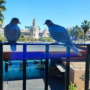 Betis Del Oro Séjour chez l'habitant