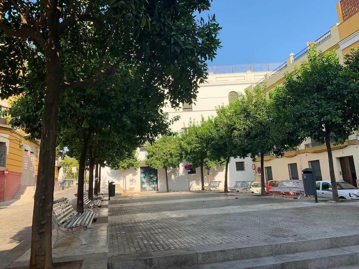 Luz Y Tranquilidad En El Casco Historico - Parking Gratis Apartment Seville 0*,